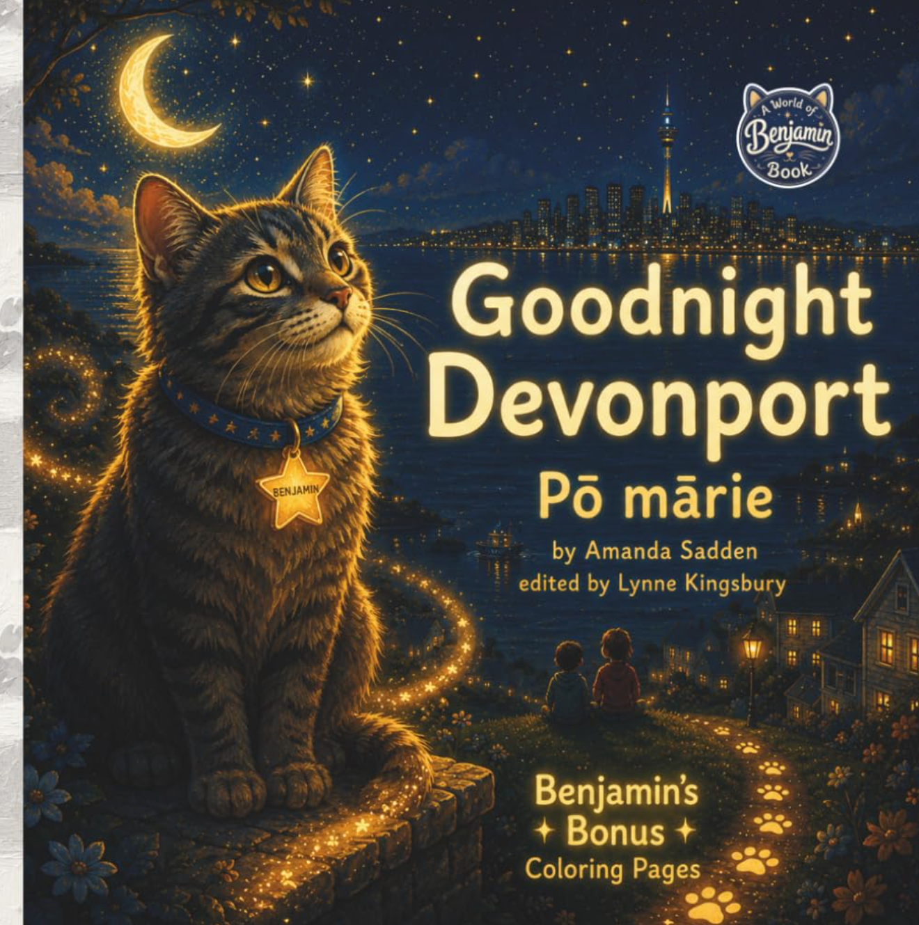 Goodnight Devonport Pō mārie